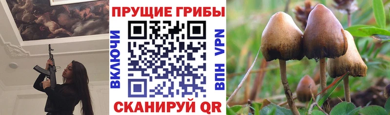 Купить  Курчатов  Псилоцибиновые грибы Magic Shrooms 